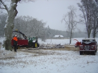 2012-02-04 042